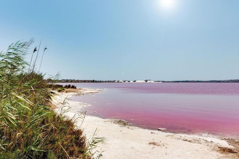 Property thumbnail 23