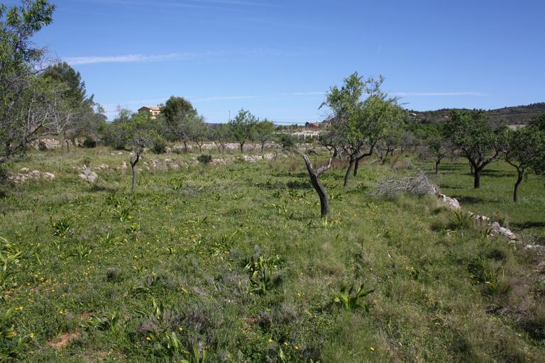 Property thumbnail 35