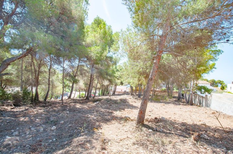 Property thumbnail 11
