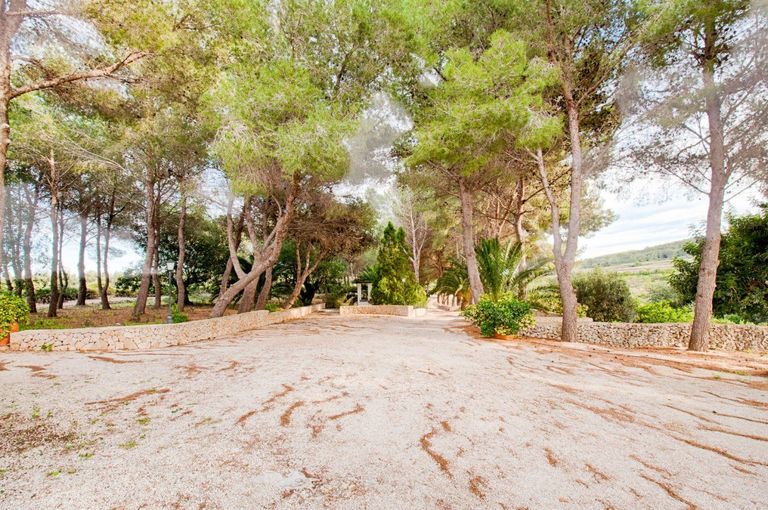 Property thumbnail 29