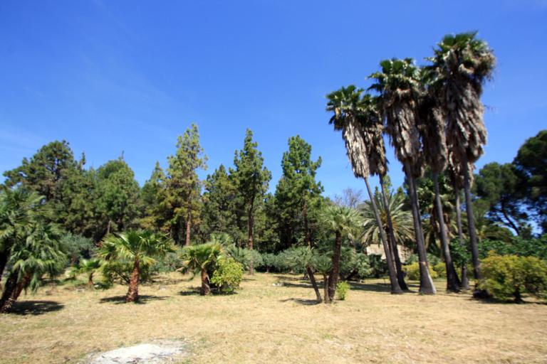 Property thumbnail 49