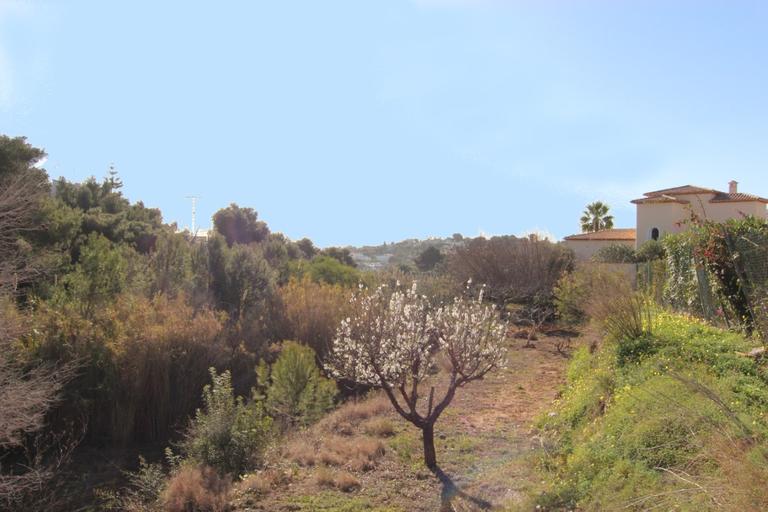 Property thumbnail 1