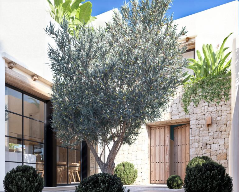 Property thumbnail 1