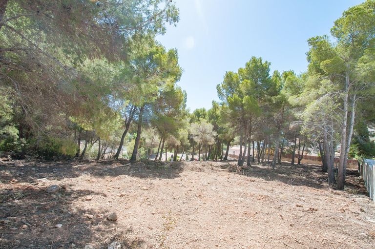 Property thumbnail 15