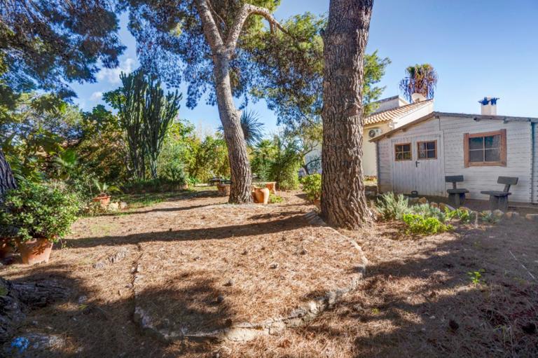 Property thumbnail 13