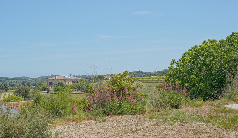 Property thumbnail 50