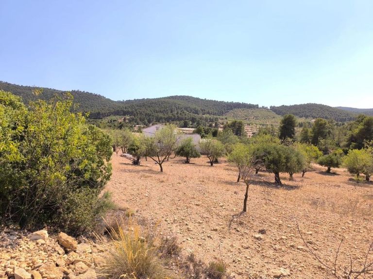 Property thumbnail 5