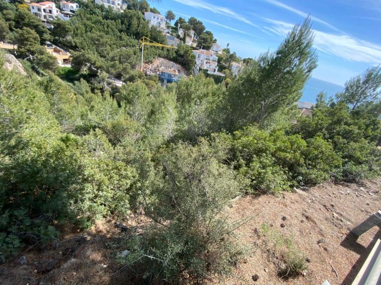 Property thumbnail 6