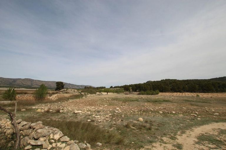 Property thumbnail 22