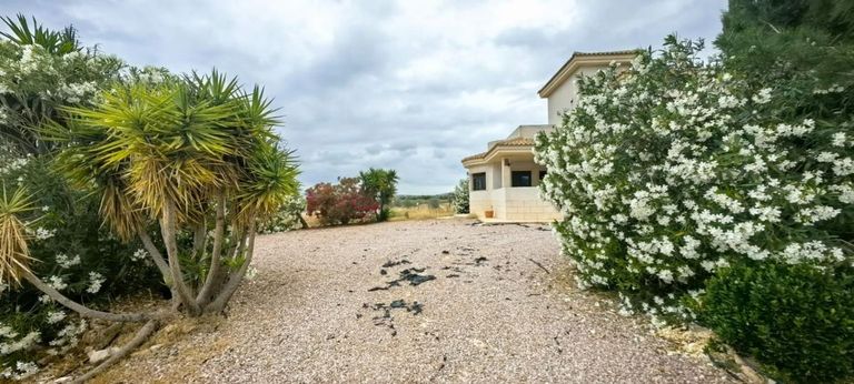 Property thumbnail 19