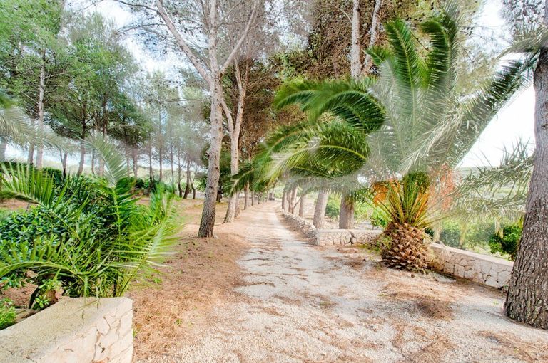 Property thumbnail 6