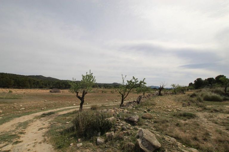Property thumbnail 21