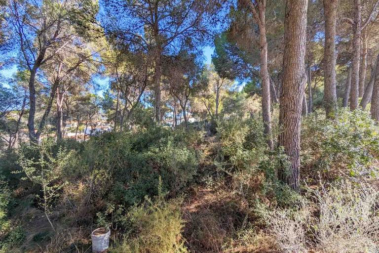 Property thumbnail 10
