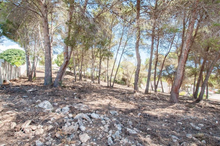 Property thumbnail 3