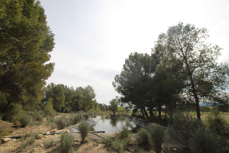 Property thumbnail 2