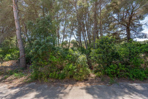 Property thumbnail 1