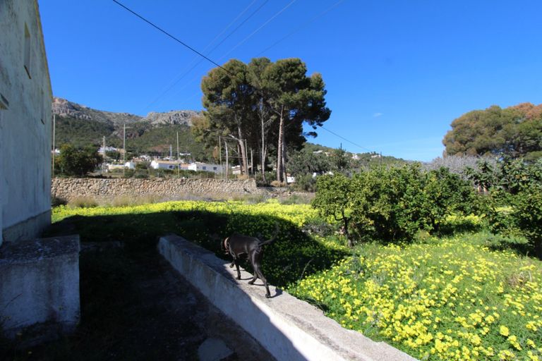 Property thumbnail 6