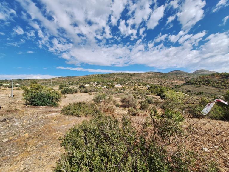Property thumbnail 4