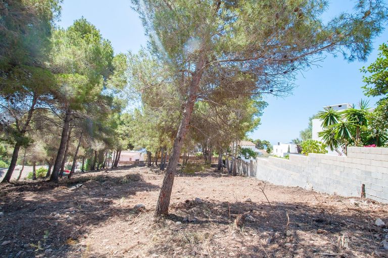 Property thumbnail 9