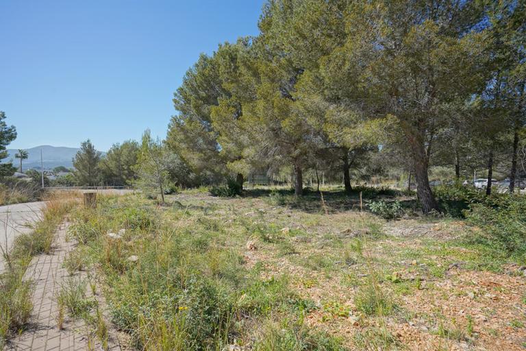 0 bedroom Land and plots in Costa Blanca, Costa Blanca - Property VC13928