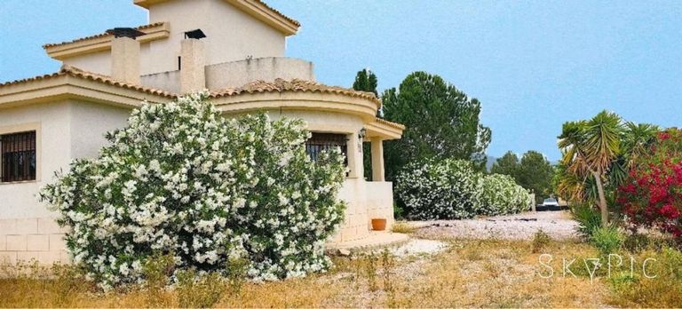 Property thumbnail 26