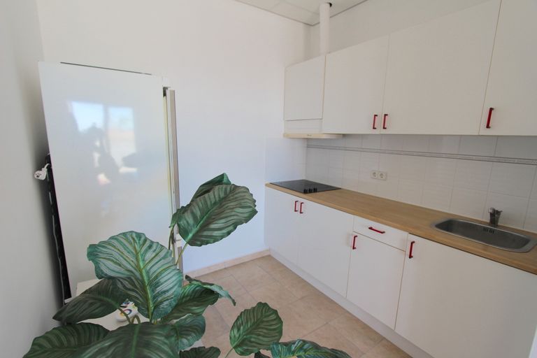 Property thumbnail 10