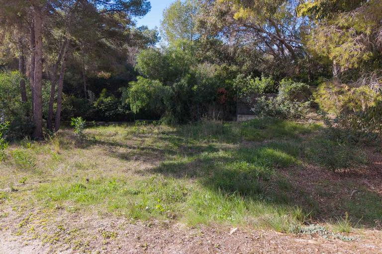Property thumbnail 6