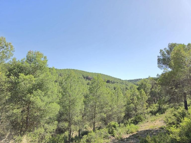 Property thumbnail 5