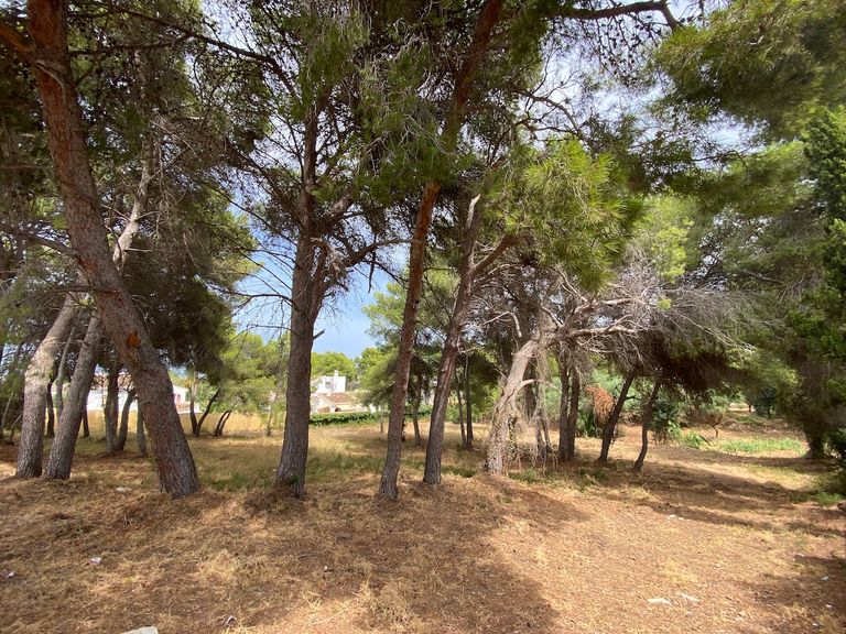Property thumbnail 6
