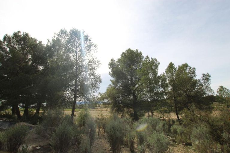 Property thumbnail 24
