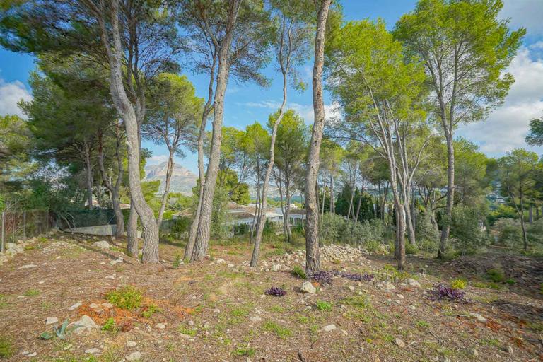 Property thumbnail 4