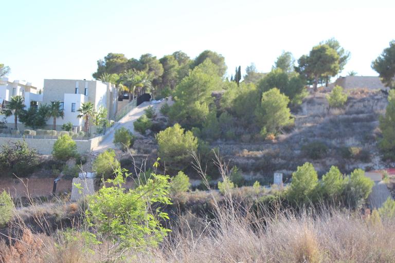 Property thumbnail 3