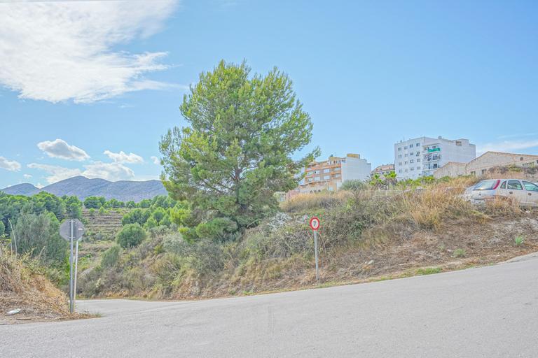 Property thumbnail 3