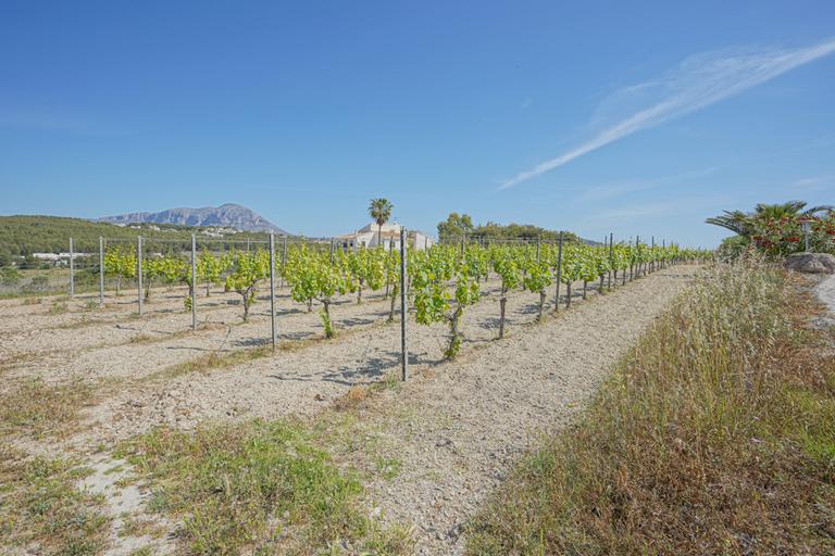 Property thumbnail 9