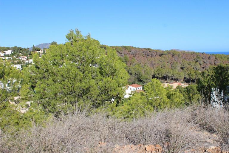Property thumbnail 8