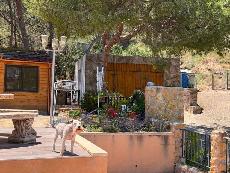 Property thumbnail 4