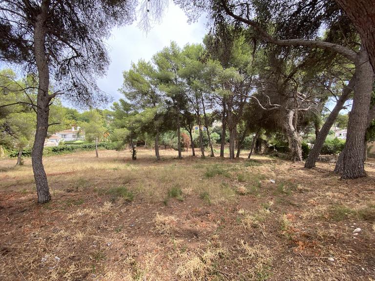 Property thumbnail 1