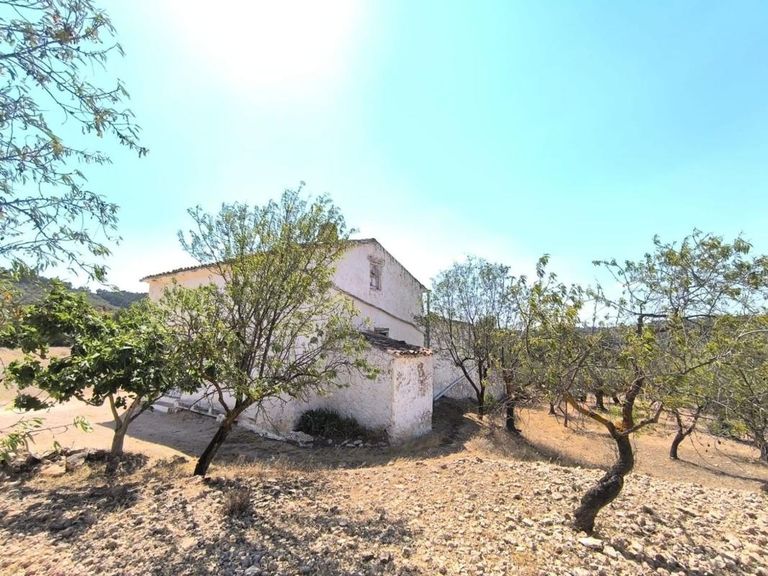 Property thumbnail 3