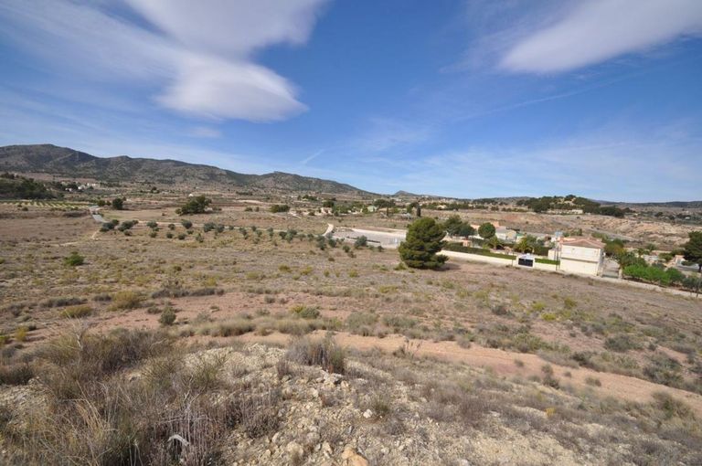 Property thumbnail 14