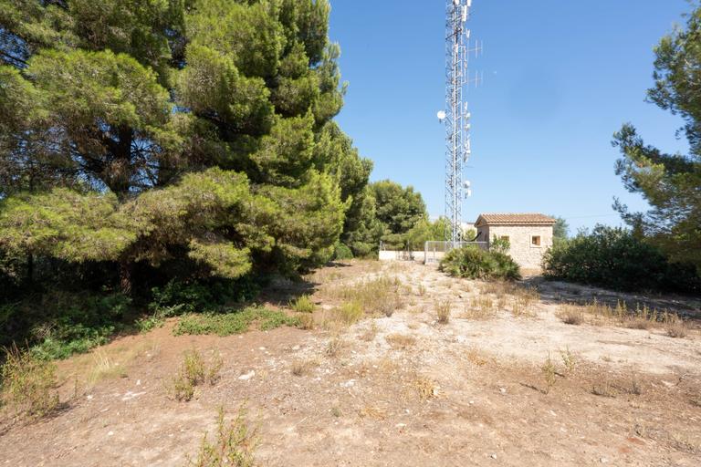 Property thumbnail 6
