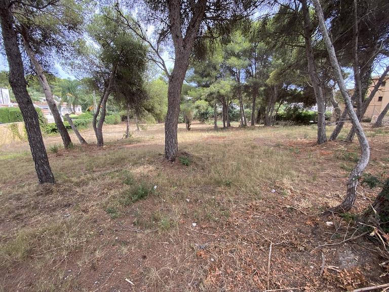 Property thumbnail 5