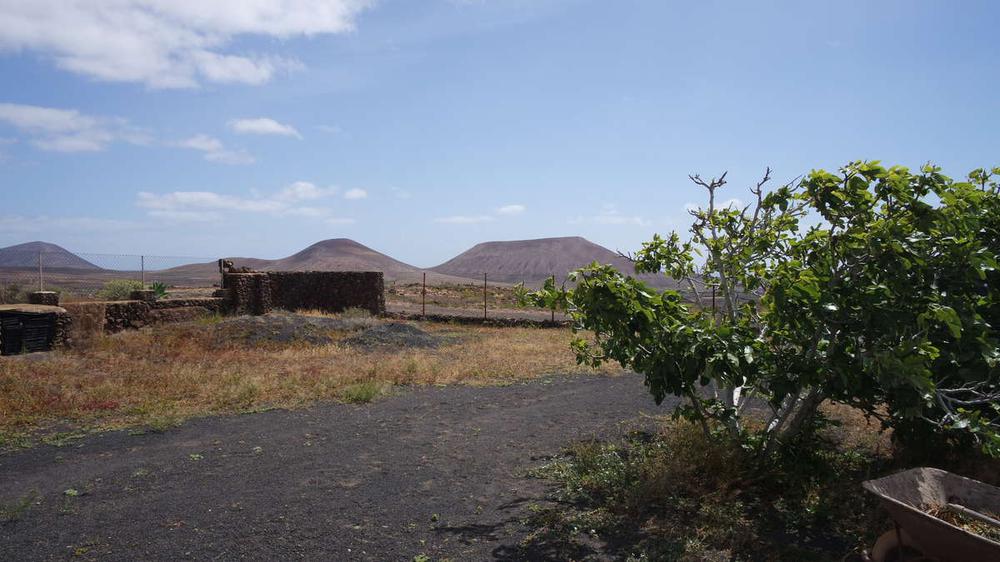 0 bedroom House / Villa in Tahiche, Lanzarote - Property VL189778