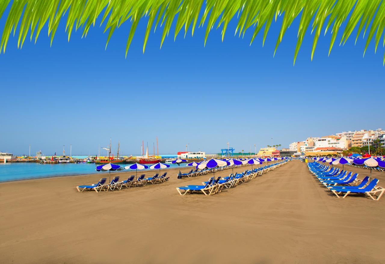 Los Cristianos beach, rows of sunbeds at dawn