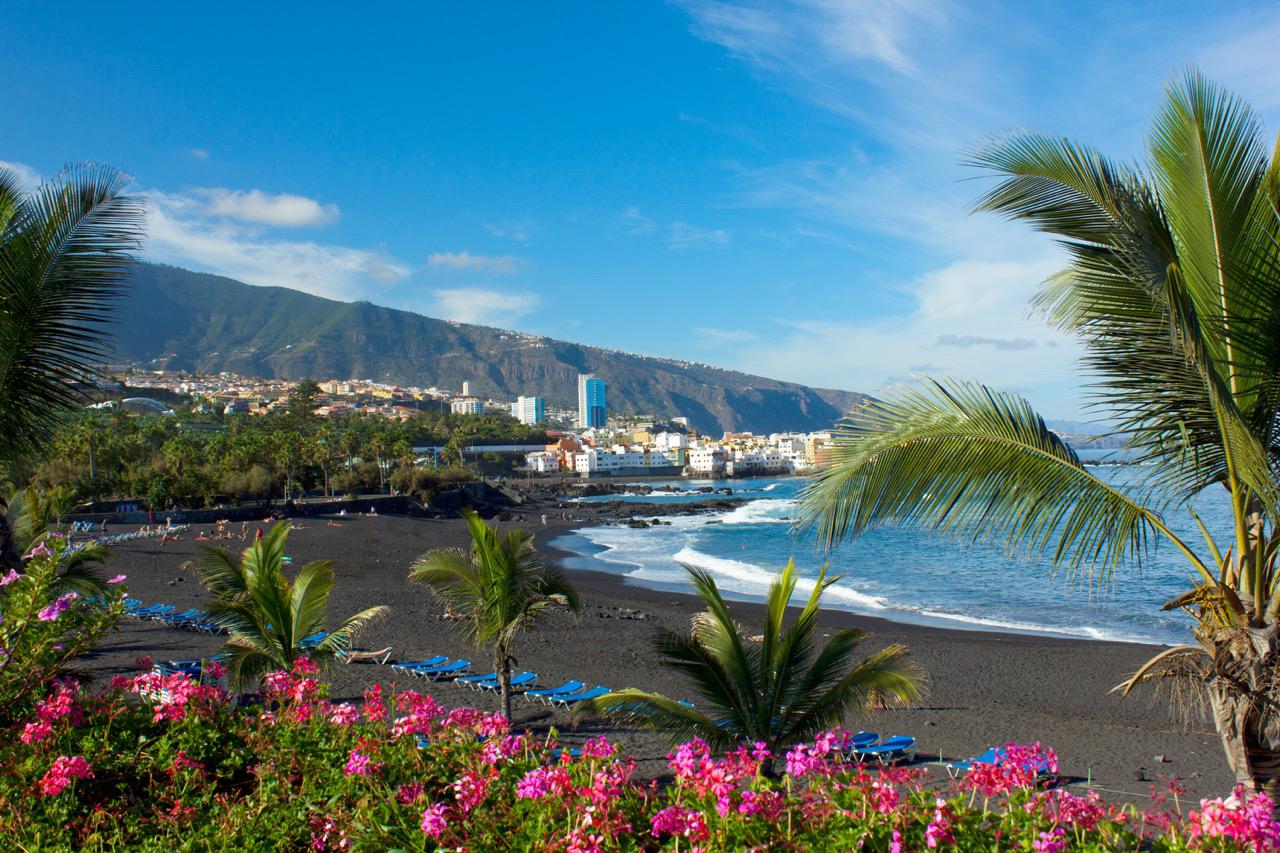 Playa Jardín with black sand and beautiful pink flower bushes