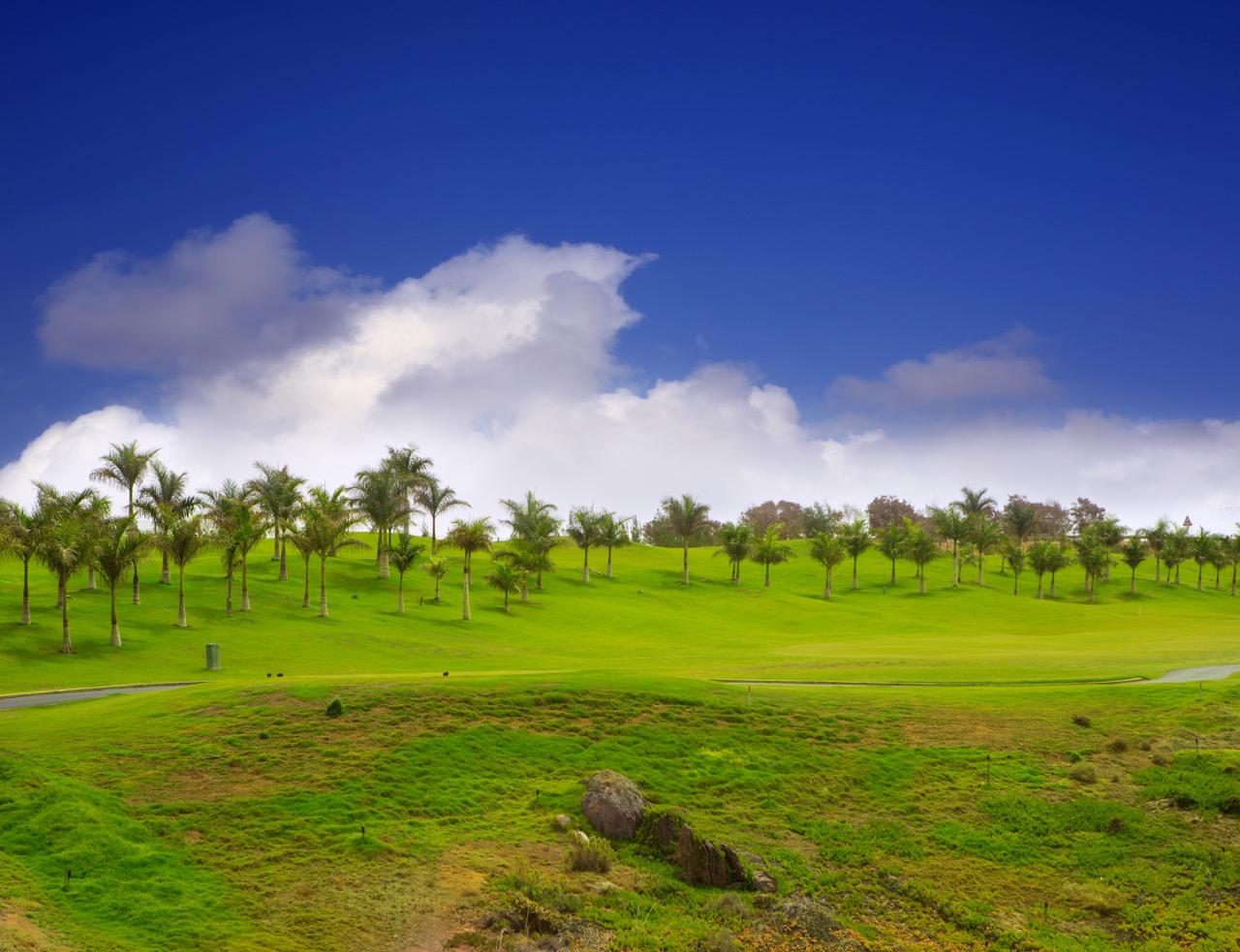 The green at Meloneras golf course in Gran Canaria